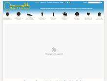 Tablet Screenshot of objectlessons.org